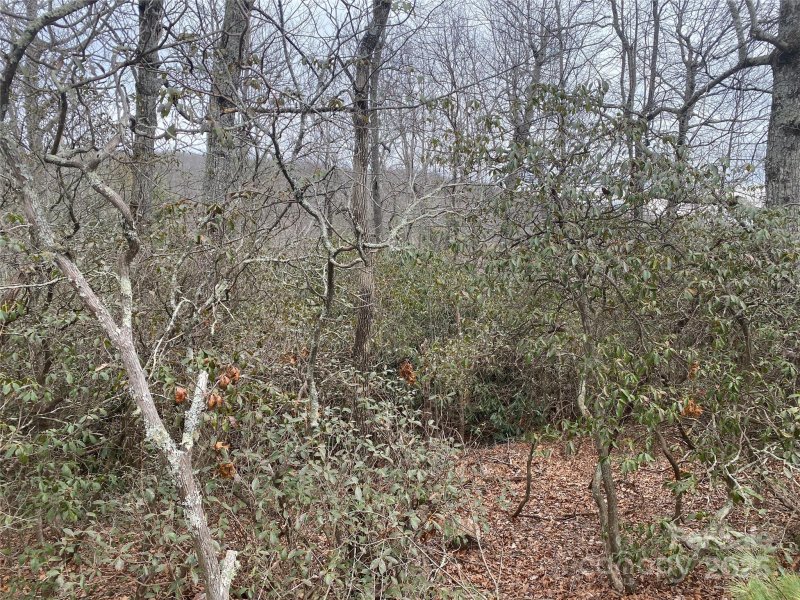 Property image 3 of Lot 10 Mountain Cove Road in Woodcliffe, Hendersonville, NC 28711