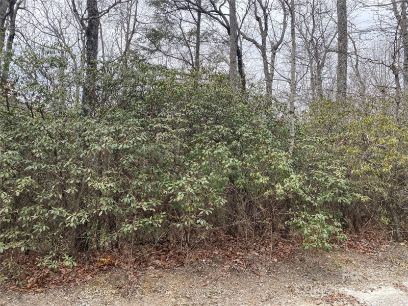 Property image 2 of Lot B Pinebluff Court in Woodcliffe, Hendersonville, NC 28787