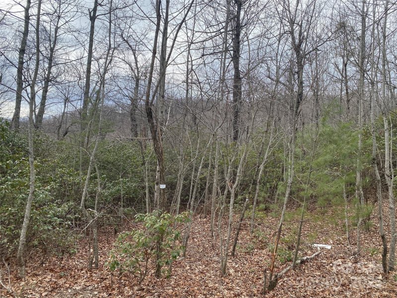 Property image 4 of Lot B Pinebluff Court in Woodcliffe, Hendersonville, NC 28787