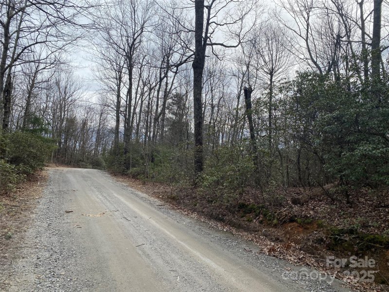 Property image 5 of Lot B Pinebluff Court in Woodcliffe, Hendersonville, NC 28787