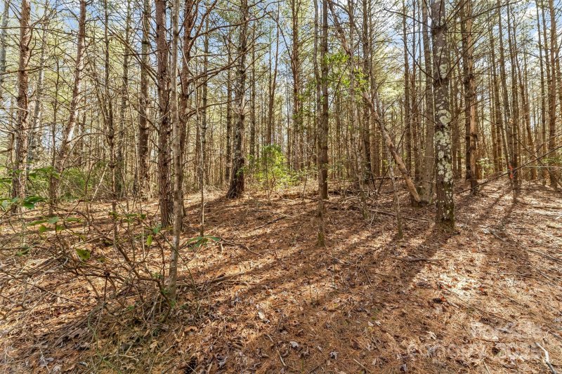 Property image 3 at 1045 Sale Drive, Morganton, NC 28655