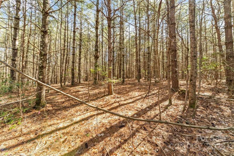 Property image 4 at 1045 Sale Drive, Morganton, NC 28655