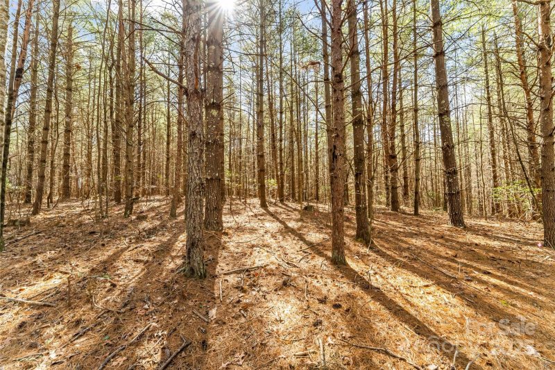 Property image 5 at 1045 Sale Drive, Morganton, NC 28655