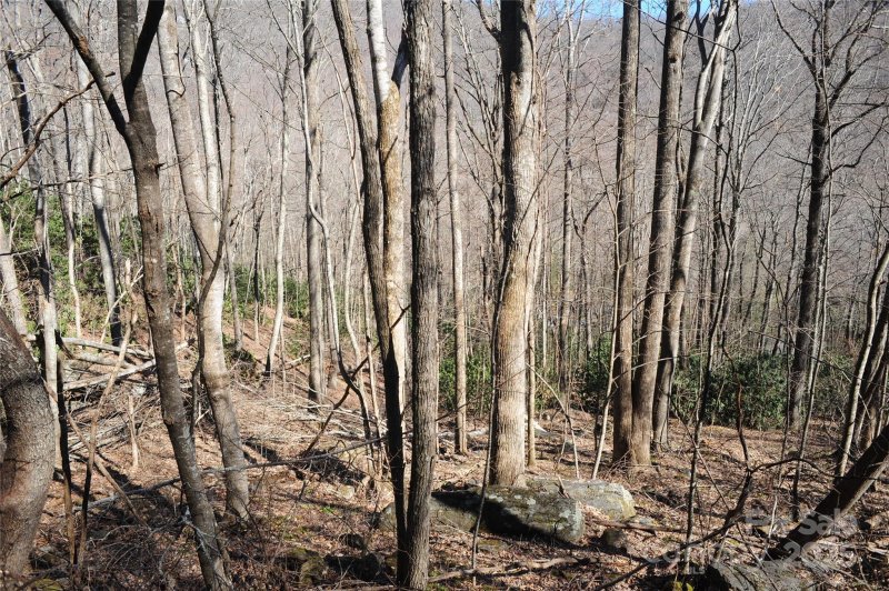 Property image 2 at 15 Wood Haven Lane, Black Mountain, NC 28711