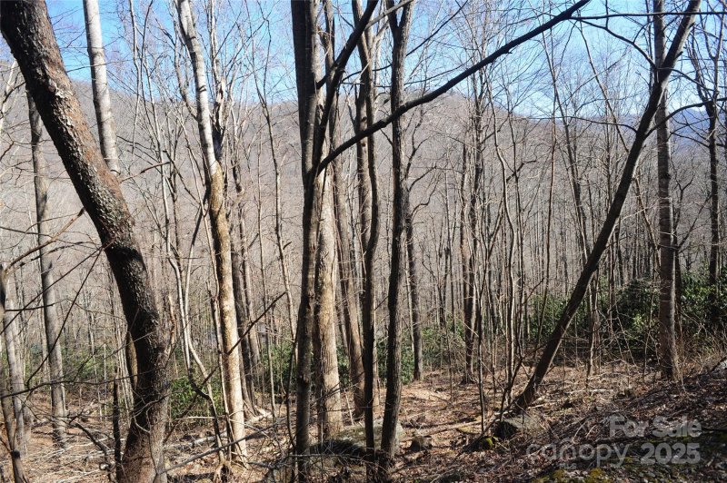 Property image 5 at 15 Wood Haven Lane, Black Mountain, NC 28711