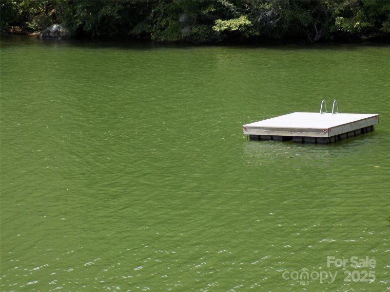 Property image 3 of 0 Pine Tree Court in Lake Lure Village Resort, Lake Lure, NC 28746