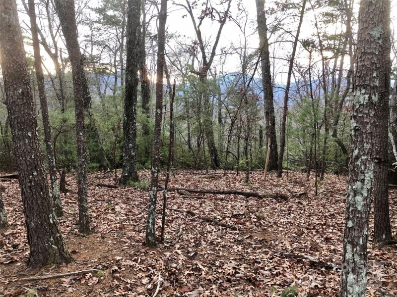 Property image 5 of 0 Pine Tree Court in Lake Lure Village Resort, Lake Lure, NC 28746