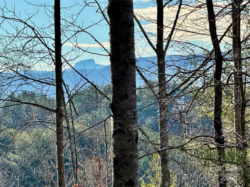 Property image 3 at Lot 159 Rocky Falls Lane, Lenoir, NC 28645