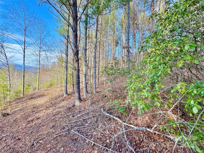 Property image 5 at Lot 159 Rocky Falls Lane, Lenoir, NC 28645