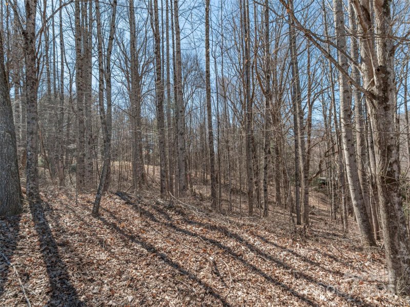 Property image 5 of 00 Sams Trail in Balsam Meadows, Waynesville, NC 28786