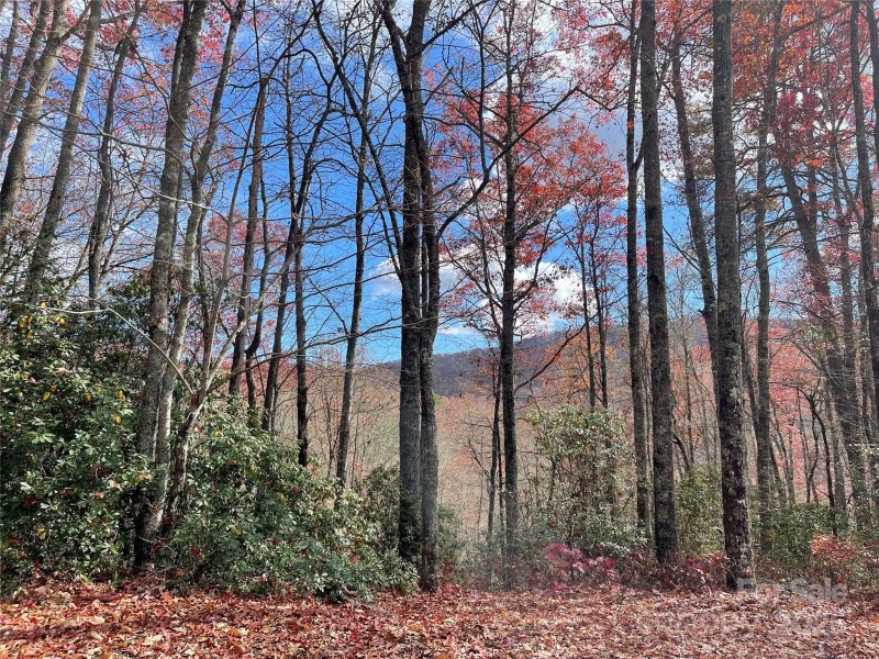 Property image 2 of Lot 24 Ridge Trail Drive in Sweetwater Ridge, Balsam Grove, NC 28708