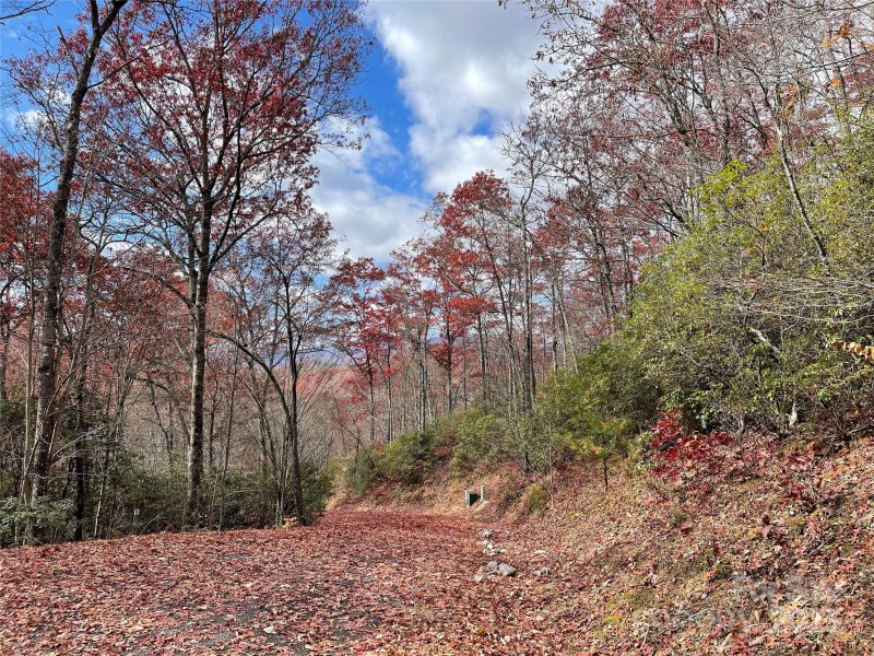 Property image 3 of Lot 24 Ridge Trail Drive in Sweetwater Ridge, Balsam Grove, NC 28708