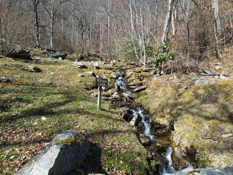 Property image 2 of 735 Whisper Mountain Drive in Whisper Mountain, Leicester, NC 28748