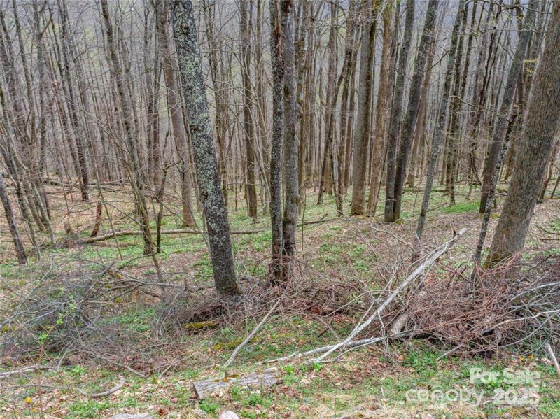 Property image 4 of 0 Weaver Lane in Wolf Laurel, Mars Hill, NC 28754