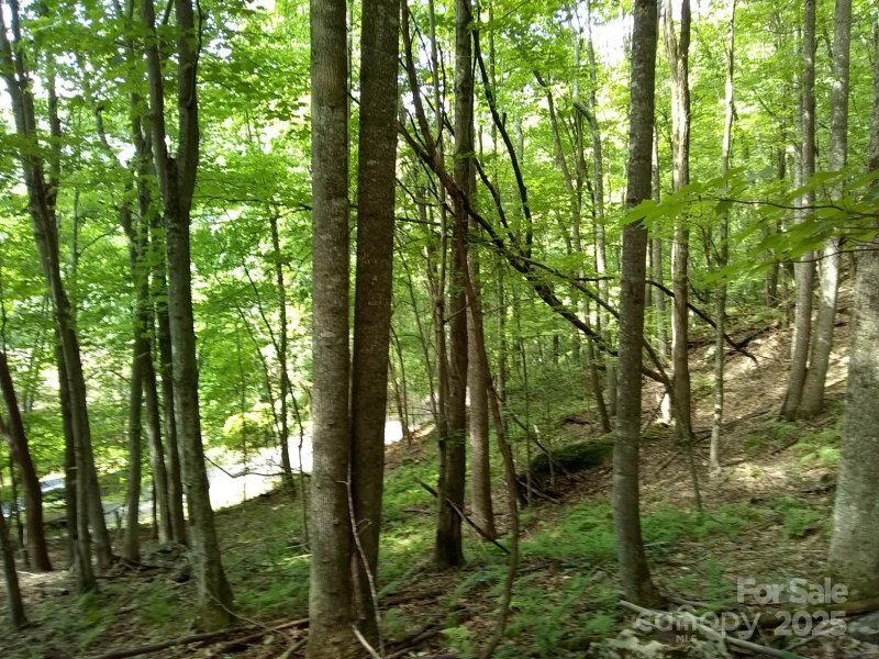 Property image 4 of 9999 Laurel Drive in High Vista, Mills River, NC 28759