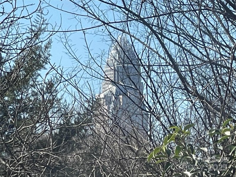 Property image 3 at 1607 Harrill Street, Charlotte, NC 28205