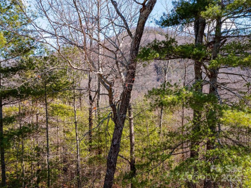 Property image 2 of 794 Silverstone Drive in Silverstone, Hendersonville, NC 28792