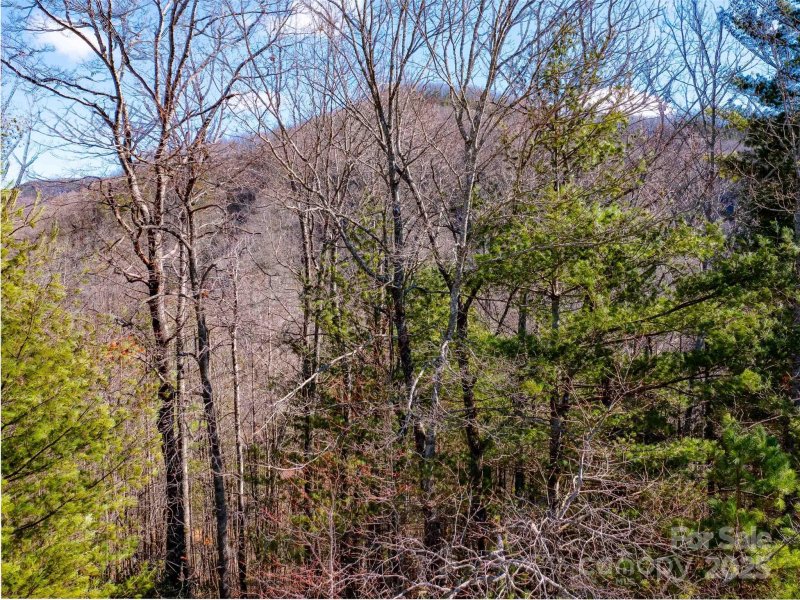 Property image 3 of 794 Silverstone Drive in Silverstone, Hendersonville, NC 28792