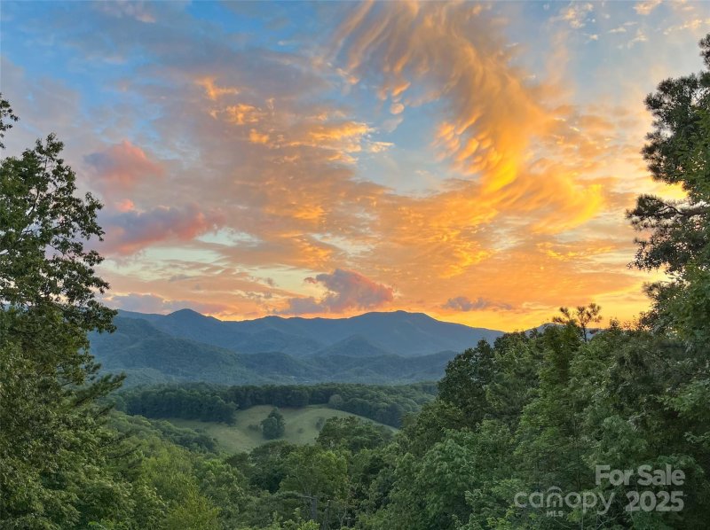 Property image 4 at 533 Wood Duck Way, Whittier, NC 28789