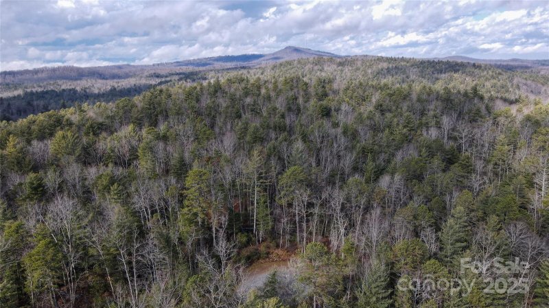 Property image 3 at 99999 Boulder Crossing, Cedar Mountain, NC 28718