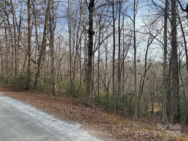 Property image 3 of 0 Sanderling Court in Riverbend at Lake Lure, Lake Lure, NC 28746