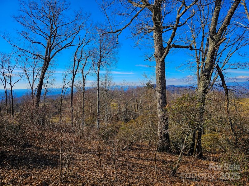 Property image 2 of 214 Summerset Drive in Grand Highlands at Bearwallow, Hendersonville, NC 28792