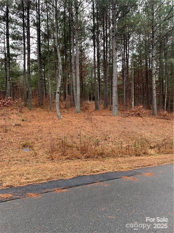 Property image 2 at 236 242 E Hawksbill Lane, Morganton, NC 28655