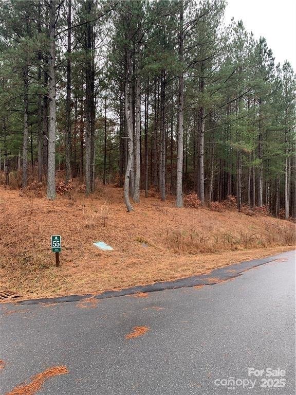 Property image 3 at 236 242 E Hawksbill Lane, Morganton, NC 28655