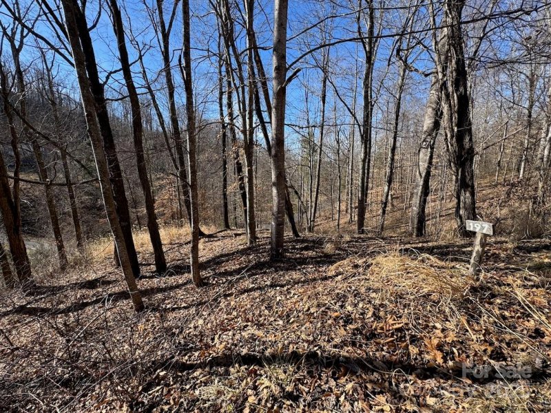 Property image 3 at Tbd Glen Valley Way, Weaverville, NC 28787