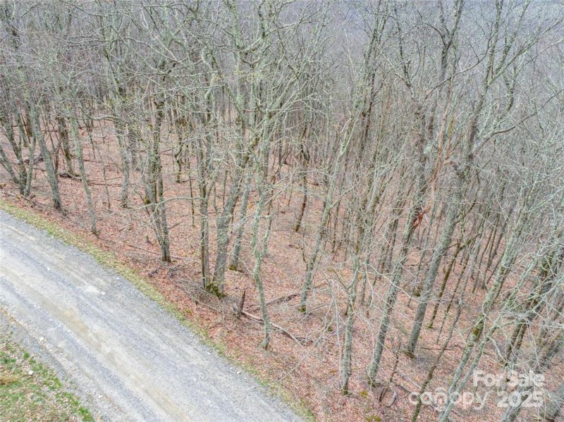 Property image 3 of 0 Grouse Thicket Lane in Wolf Laurel, Mars Hill, NC 28754