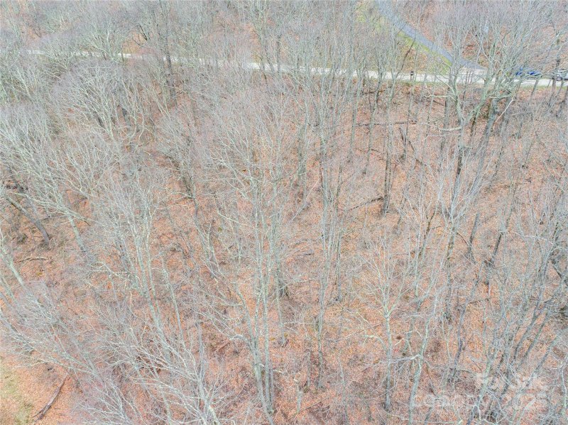 Property image 5 of 0 Grouse Thicket Lane in Wolf Laurel, Mars Hill, NC 28754