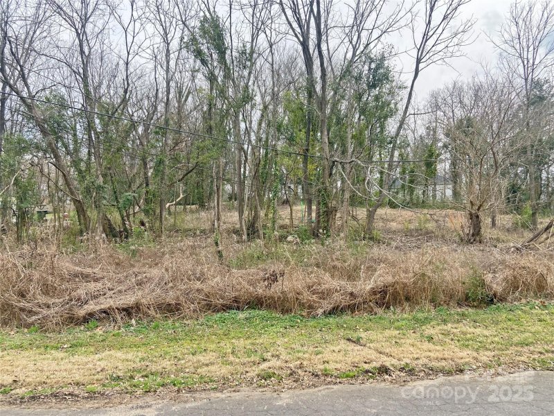 Property image 2 at 94 Virginia Street, Rock Hill, SC 29730