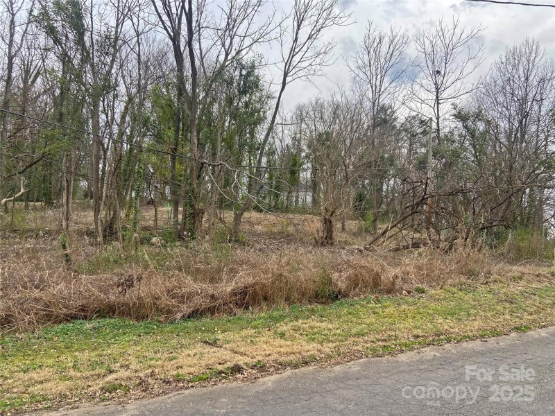 Property image 3 at 94 Virginia Street, Rock Hill, SC 29730