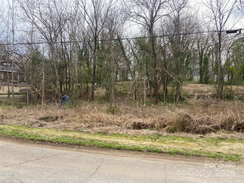 Property image 3 at 93 Virginia Street, Rock Hill, SC 29730