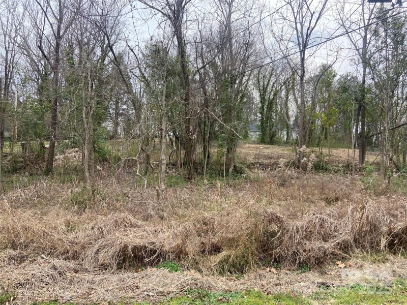 Property image 4 at 93 Virginia Street, Rock Hill, SC 29730
