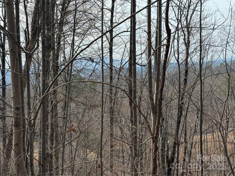 Property image 3 of Lot 236 Rock Ledge Drive in Vista At Bills Mountain, Lake Lure, NC 28746