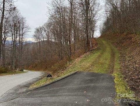 Property image 5 at 74 Olympia Lane, Waynesville, NC 28786