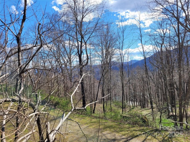 Property image 2 of 0 Purple Martin Lane in The Willows, Waynesville, NC 28785