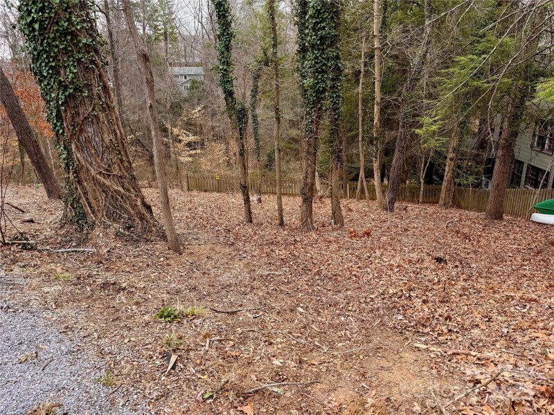 Property image 4 at 9999 Richard Street, Asheville, NC 28803