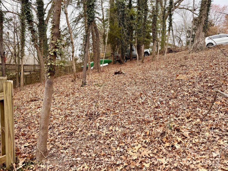 Property image 5 at 9999 Richard Street, Asheville, NC 28803