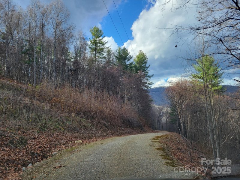 Property image 3 of 125 Lasso Lane in Cataloochee Ranch Estates, Waynesville, NC 28785