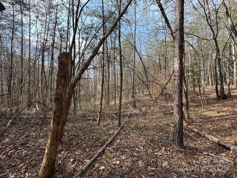 Property image 3 of 0 Sunshine Acres Road in Sunshine Acres, Sylva, NC 28779