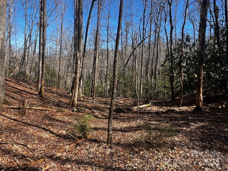Property image 2 of Lot 68 Cherrywood Lane in Stoney Brook, Pisgah Forest, NC 28768