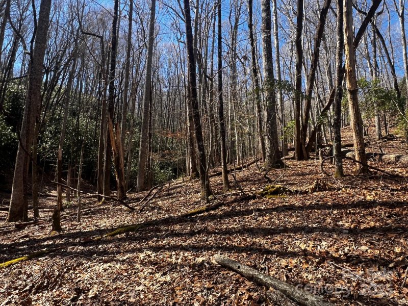 Property image 5 of Lot 68 Cherrywood Lane in Stoney Brook, Pisgah Forest, NC 28768