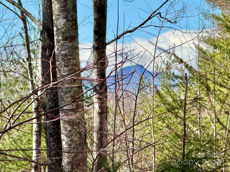 54 2 Acres Lot 837 High Valley Way