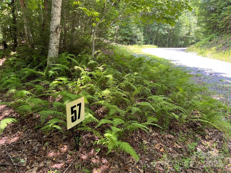 Property image 3 of 57 Big Branch Road in Big Hill, Brevard, NC 28712