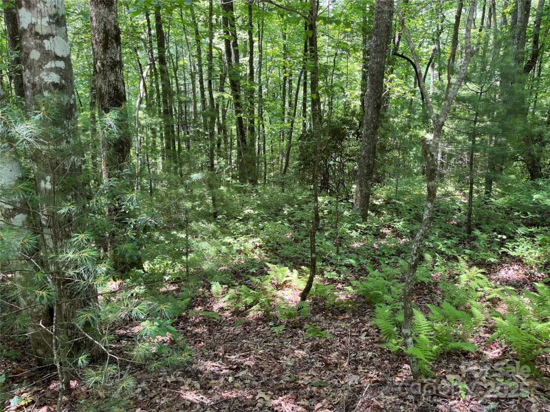 Property image 4 of 57 Big Branch Road in Big Hill, Brevard, NC 28712