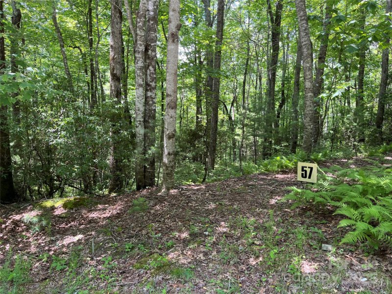 Property image 5 of 57 Big Branch Road in Big Hill, Brevard, NC 28712