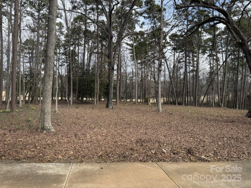 Property image 2 of 104 Old North State Lane in Uwharrie Point, New London, NC 28127