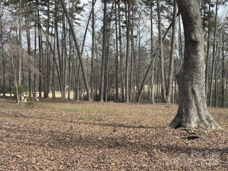 Property image 4 of 104 Old North State Lane in Uwharrie Point, New London, NC 28127